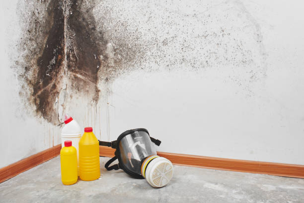 Best Mold Testing  in Coburg, OR
