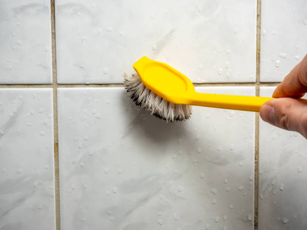 Best Office Mold Removal Services  in Coburg, OR