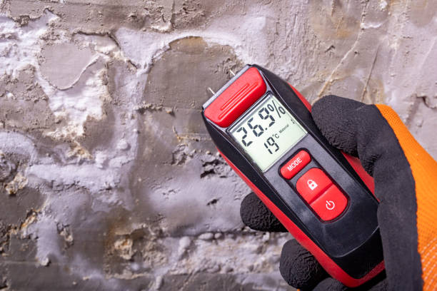 Best Home Mold Removal  in Coburg, OR
