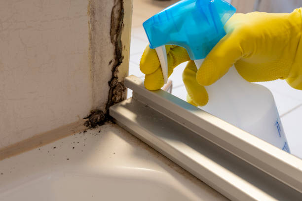Best Emergency Mold Removal  in Coburg, OR