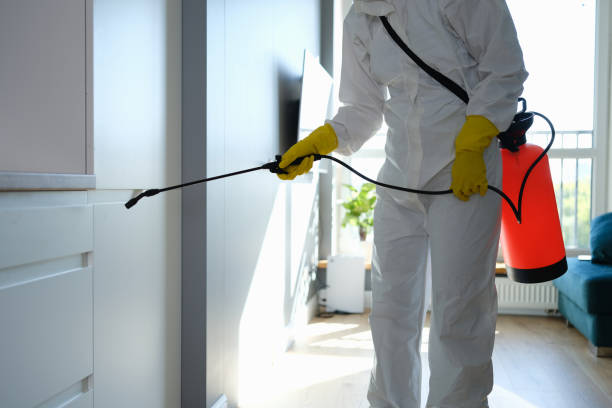 Home Mold Removal in Coburg, OR