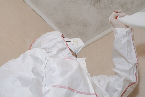 Best Mold Damage Repair  in Coburg, OR