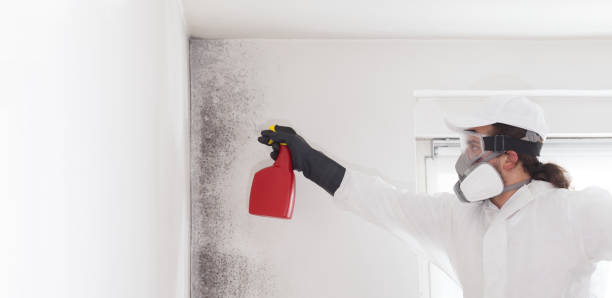 Best Mold Remediation  in Coburg, OR