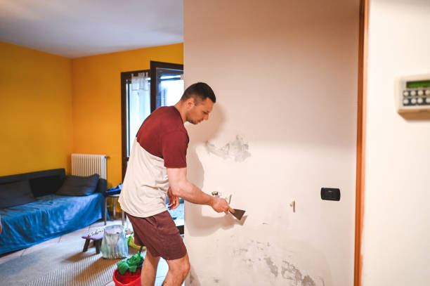 Best Residential Mold Removal  in Coburg, OR