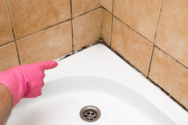 Best Mold Testing  in Coburg, OR